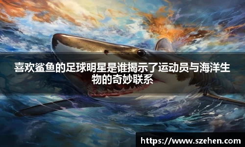 喜欢鲨鱼的足球明星是谁揭示了运动员与海洋生物的奇妙联系
